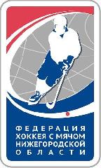 29 ноября 2015 года стартовал очередной Чемпионат Нижегородской области по хоккею с мячом